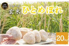 【令和6年産】平泉町産ひとめぼれ 玄米 20kg / お米 こめ 玄米 岩手ひとめぼれ 減農薬栽培 産地直送 令和6年産 予約受付中 健康志向 ご飯 ごはん おにぎり お弁当 ギフト プレゼント 贈答 引っ越し挨拶 お祝い お返し