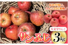 ≪12月上旬より順次発送≫ 『数量限定』 大文字りんご園 サンふじ 約3kg (中玉7～10玉) / 樹上完熟 りんご リンゴ 林檎 果物 くだもの フルーツ 甘い 旬 産地直送【dma513-sf-3C】