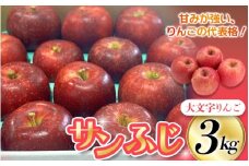 ≪12月上旬より順次発送≫ 『数量限定』 大文字りんご園 サンふじ 約3kg (中玉7～10玉) / 樹上完熟 りんご リンゴ 林檎 果物 くだもの フルーツ 甘い 旬 産地直送【dma513-sf-3C】