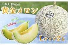 【令和7年度分予約受付】平泉黄金メロン 2玉 Lサイズ 合計約3kg 【2025年8月下旬以降より発送】/  メロン マスクメロン 果物 くだもの フルーツ 甘い 旬 産地直送 予約 先行予約 