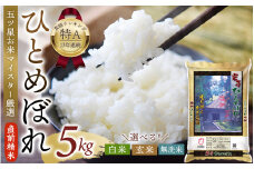 五ツ星お米マイスター厳選！ 直前精米 令和6年産 平泉町産 ひとめぼれ 玄米 5kg 〈食味ランキング「特A」13年連続受賞〉/ こめ コメ 米 お米 おこめ 白米 ご飯 ごはん ライス