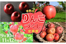 【9月中旬頃～発送開始】大文字りんご園 季節のりんごづくし定期便！/ 樹上完熟 りんご リンゴ 林檎 紅いわて サン北斗 大夢 サンフジ 果物 くだもの フルーツ 甘い 旬 産地直送