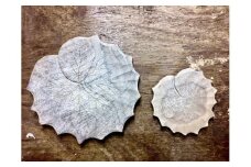 井波彫刻の伝統工芸士から学ぶ！ /木彫刻体験チケット★【１ 名様分】木のお皿を作ろう！ / 井波彫刻 木彫り 手彫り 木製 伝統工芸品 体験 お皿 お皿作り 木皿 食器 お祝い プレゼント 贈答 贈り物 新築 結婚