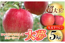 【 11月下旬頃より順次発送】【2025年11月30日までの受付】〈超大玉！〉大文字りんご　大夢（おおゆめ） 約5kg (10～12玉)【数量限定】/ りんご リンゴ 林檎 果物 くだもの フルーツ 甘い 旬 産地直送 【dma513-l-oy-big】