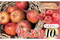 ≪無くなり次第終了≫【1月下旬～順次発送】大文字りんご園 サンふじ 小玉サイズ 約10kg (36～40玉) / 樹上完熟 りんご リンゴ 林檎 果物 くだもの フルーツ 甘い 旬 産地直送 予約 先行予約【dma513-sf-10】