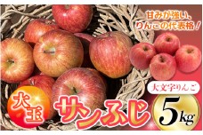 ≪12月末までの受付*無くなり次第終了≫【12月上旬より順次発送】大文字りんご（サンフジ) 大玉サイズ 約5kg (約10～12玉)  樹上完熟 りんご リンゴ 林檎 果物 くだもの フルーツ 甘い 旬 産地直送  ［dma513-sf-5D-big］