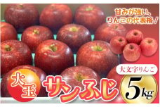 ≪12月末までの受付*無くなり次第終了≫【12月上旬より順次発送】大文字りんご（サンフジ) 大玉サイズ 約5kg (約10～12玉)  樹上完熟 りんご リンゴ 林檎 果物 くだもの フルーツ 甘い 旬 産地直送  ［dma513-sf-5D-big］