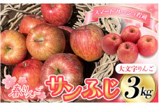 ≪2025年3月下旬～順次発送≫ スマートフレッシュ貯蔵 りんご 春のサンふじ 3kg 大文字りんご園 / 国産 樹上完熟 幻のりんご 林檎 果物 くだもの フルーツ 産地直送 予約 送料無料【dma513-haru-3】