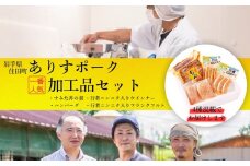 ありすポーク加工品4種セット　ハンバーグ・行者ニンニクウインナー・行者にんにくフランクフルト・豚丼　の豪華4種セット