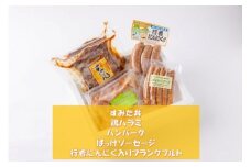 住田ポーク・チキン加工品セット