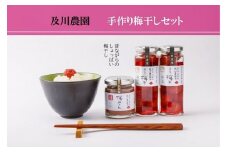 手作り梅干しセット