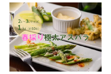 期間限定！春採り極太アスパラ　２L～３Lサイズ１㎏（約１０本）