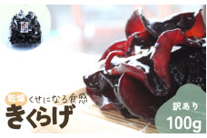 岩手県産 訳あり乾燥きくらげ 100g コリっとプルプル食感がたまらない国産きくらげ / きくらげ 乾燥きくらげ キノコ 国産 訳あり