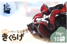 岩手県産 乾燥きくらげ 10g×10袋 コリっとプルプル食感がたまらない国産きくらげ / きくらげ 乾燥きくらげ キノコ 国産