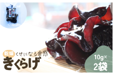 岩手県産 乾燥きくらげ 10g×2袋 コリっとプルプル食感がたまらない国産きくらげ / きくらげ 乾燥きくらげ キノコ 国産