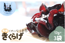 岩手県産 乾燥きくらげ 12g×3袋 コリっとプルプル食感がたまらない国産きくらげ / きくらげ 乾燥きくらげ キノコ 国産