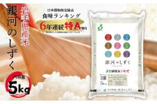 岩手県産精米 銀河のしずく 5kg /お米 岩手県産 白い 艶 冷めてもおいしい 白米 国産米 5キロ【#0130-05】