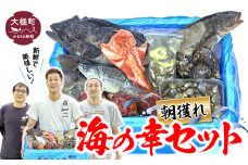 朝獲れ海の幸セット (旬の鮮魚、海藻などの詰合せ)｜鮮魚セット 鮮魚 福袋 詰め合わせ 海鮮 魚介 魚貝 新鮮 旬 お楽しみ おすすめ 大槌町