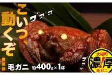 【令和8年発送先行予約】三陸産！活毛ガニ 400g×1杯【2026年2月～4月発送】【08】