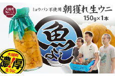 【令和8年発送先行予約】生うに 牛乳瓶 150g×1本【2026年4月下旬～8月発送】【08】