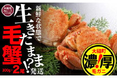 【令和8年発送先行予約】三陸産！活毛ガニ 300g相当×2杯【08】【2026年2月～4月発送】