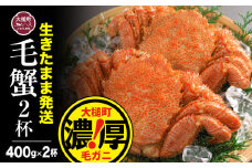 【令和8年発送先行予約】三陸産！活毛ガニセット 400g×2杯【2026年2月～4月発送】【08】