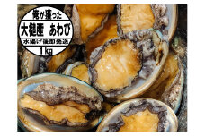 【2025年11月～発送】アワビ 約1kg (7個前後) ※アワビヘラ＆軍手付き※【期間限定】｜11月～12月発送 三陸 岩手県 大槌町 あわび 人気 鮑 刺身 いわて iwate 初栄丸