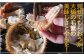 イメージです