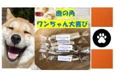 【ジビエ】犬のおもちゃ＆ドッグフード (鹿肉 スジ肉 150g) セット｜小型犬用 鹿の角 ジビエペット用 大槌ジビエ 鹿肉ジャーキー 無添加 岩手県 大槌町 いわて iwate 三陸 MONIJI