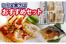 石山水産 おすすめセット (いか＆さば) 