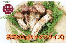 【令和7年10月より発送 先行予約】大槌産 まつたけミックスサイズ200g 【35】松茸 国産 岩手 岩手県 土瓶蒸し 松茸ごはん マツタケ 初栄丸