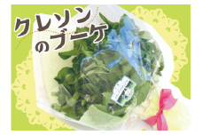 【期間限定10月～12月発送】かねざわクレソン1束(350g)