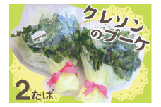 【期間限定10月～12月発送】かねざわクレソン2束(350g×2)