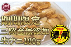 【令和8年発送先行予約】天然生うに100g×1個【2026年5月上旬～8月発送】【05】
