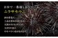 口に入れる、とろっと溶けます