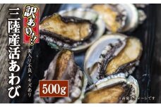 【※訳あり※】 三陸産！活アワビ 約500g (3～5個)【数量限定】【08】｜11月～12月発送 冷蔵 三陸 岩手県 大槌町 あわび 人気 鮑 いわて iwate 2025 魚貝 鮮度抜群【配送日・曜日指定不可】