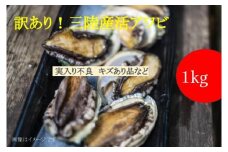 【※訳あり※】 三陸産！活アワビ 約1kg (6～10個)【数量限定】【08】｜11月～12月発送 冷蔵 三陸 岩手県 大槌町 あわび 人気 鮑 いわて iwate 2025 魚貝 鮮度抜群【配送日・曜日指定不可】