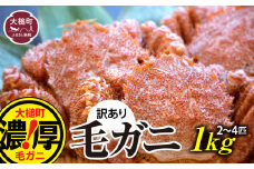 【令和8年発送先行予約】【訳あり】三陸産！活毛ガニ 1kg(2～4杯)【08】【2026年2月～4月発送】