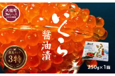 【2025年10月下旬より発送】【すごい品掲載】いくら 醤油漬け 250g 国産3特｜味付き 人気 鮭 海鮮 丼 極上品 ikura