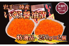 岩手三陸産 大粒 いくら醤油漬 250g×2個 小分けパック【05】