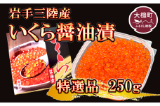 岩手三陸産 大粒 いくら醤油漬 250g×1個【05】