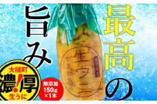 【令和8年発送先行予約】牛乳瓶入り 生うに 150g×1本【2026年4月下旬～8月発送】[23]