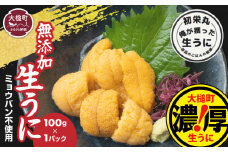 三陸産生うに100g×1パック【令和7年6月発送】【配送日指定不可】【35】初栄丸