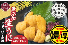 【お試し50g×1パック】三陸産生うに【令和7年6月発送】【配送日指定不可】【35】 初栄丸