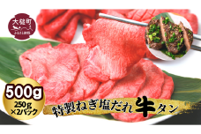特製ねぎ塩だれ『牛タン』500g (250g×2パック) 小分け｜味付き 焼き 肉 冷凍 便利 使い切りサイズ 岩手 いわて iwate 岩手県大槌町