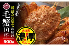 【令和8年発送先行予約】三陸産！活毛ガニ 500g×10杯【2026年2月～4月発送】【08】