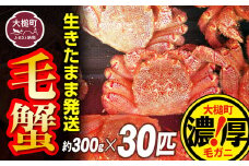 【令和8年発送先行予約】三陸産！活毛ガニセット 300g×30杯【08】【2026年2月～4月発送】