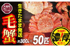 【令和8年発送先行予約】三陸産！活毛ガニセット 300g×50杯【08】【2026年2月～4月発送】