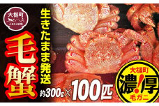 【令和8年発送先行予約】三陸産！活毛ガニセット 300g×100杯【08】【2026年2月～4月発送】