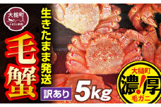 【令和8年発送先行予約】【訳あり】三陸産 活毛ガニ 5kg【08】【2025年2月～4月発送】